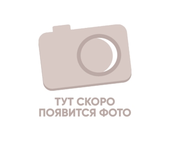 Шпилька для полотенцесушителя L 0.06